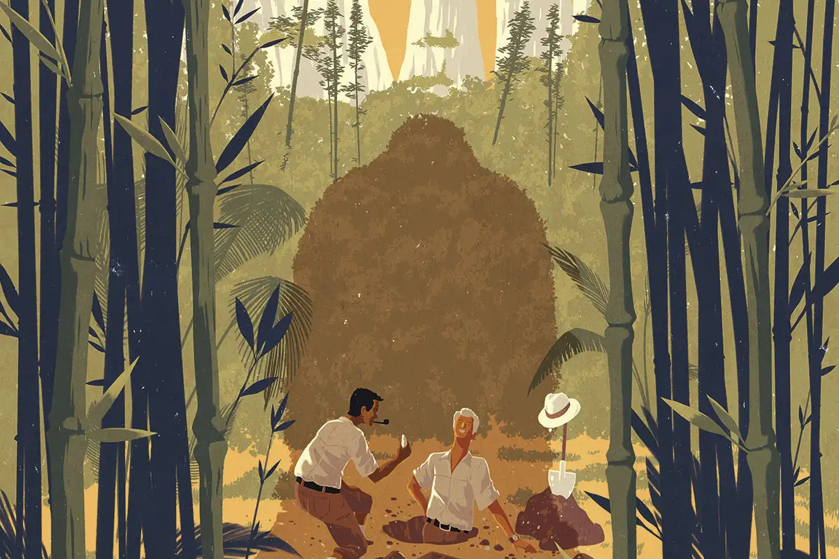 Gigantopithecus: The story of the greatest of the great apes. Image leads to article.