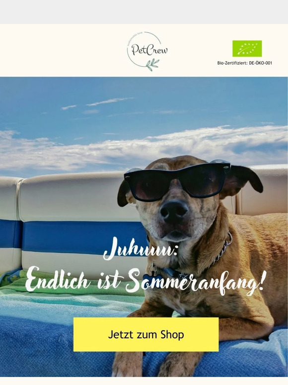 Jetzt ist Sommer: ein praktischer Guide ☀️🐕