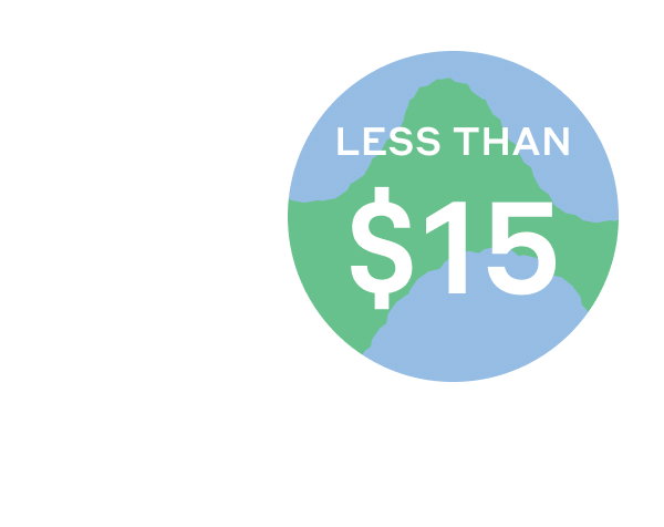 Less than $15