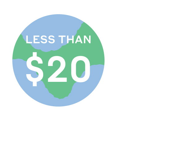 Less than $20