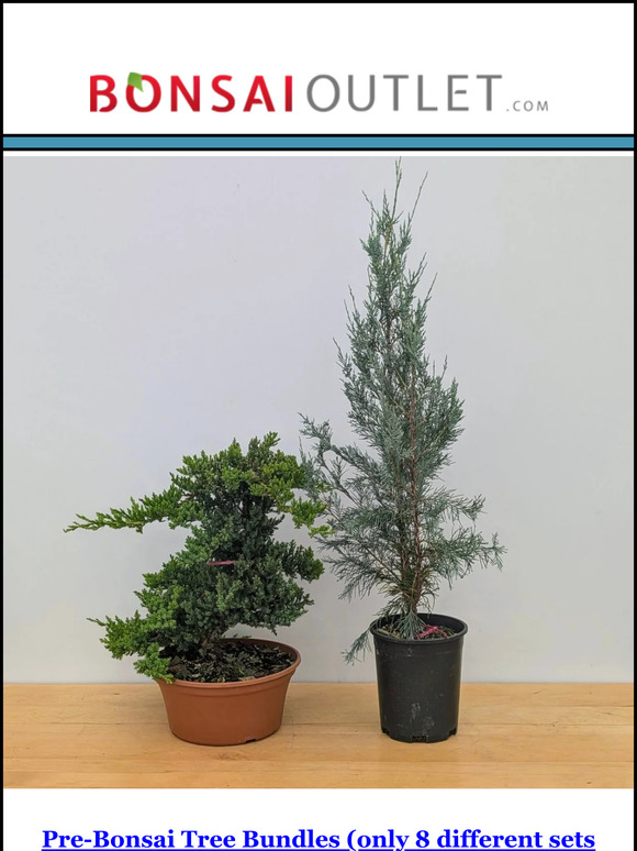 New Pre-Bonsai Bundles Just Dropped
