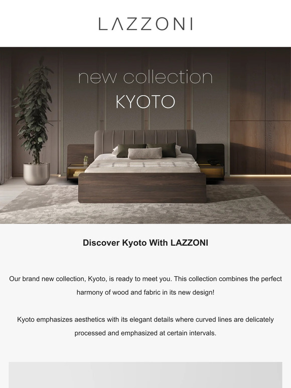 The Kyoto Experience