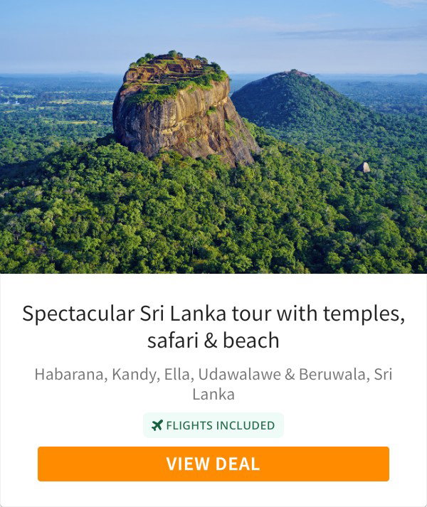 Spectacular Sri Lanka tour with temples, safari &amp; beach