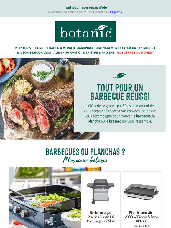 🍗☀️ Barbecues, planchas et accessoires du chef : tout pour un repas d'été réussi avec botanic® !