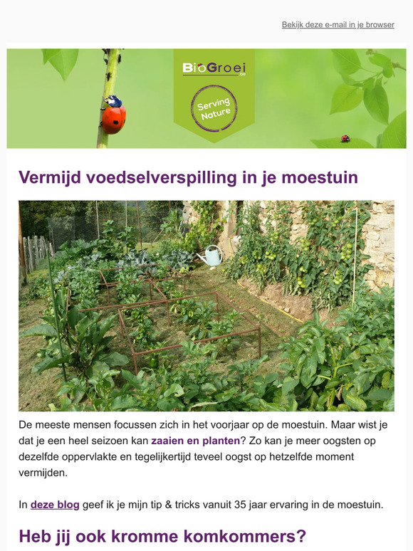 🐞No-slug nog beschikbaar | Tuintips juli