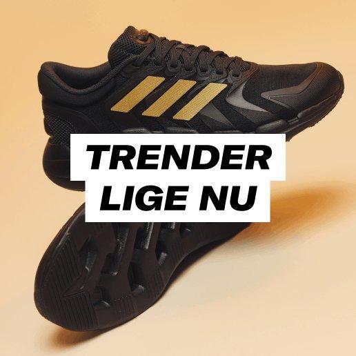 Trender lige nu