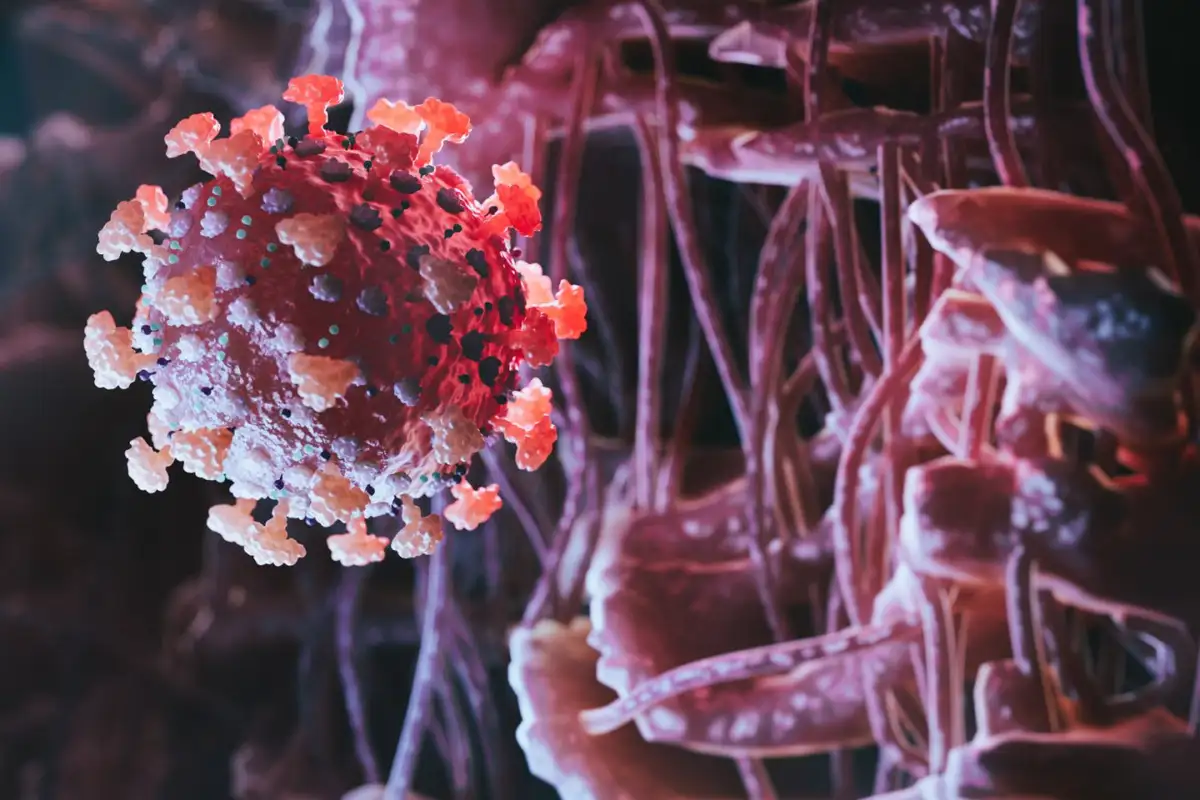 We finally know why some people seem immune to catching covid-19. Image leads to article.