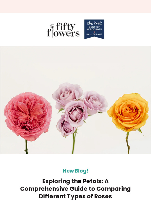 FiftyFlowers: Discover the Different Types of Roses in Our Latest Guide ...