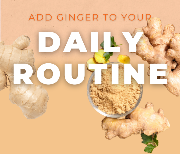 JellyBee: 🌠Unlock the Benefits of Ginger: Health, Wellness & Beyond ...