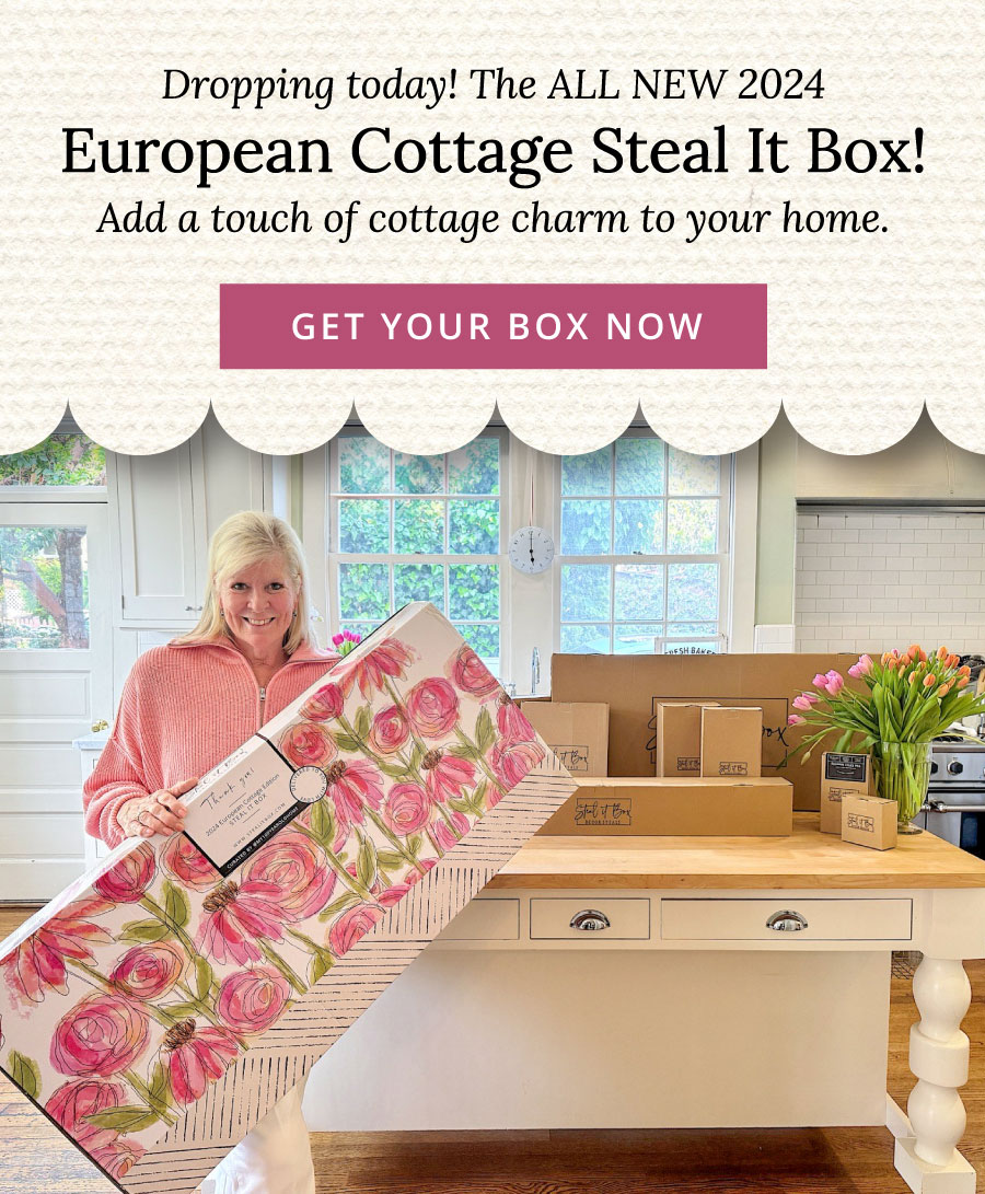 Decor Steals: the time has come, our exclusive steal it box has arrived ...