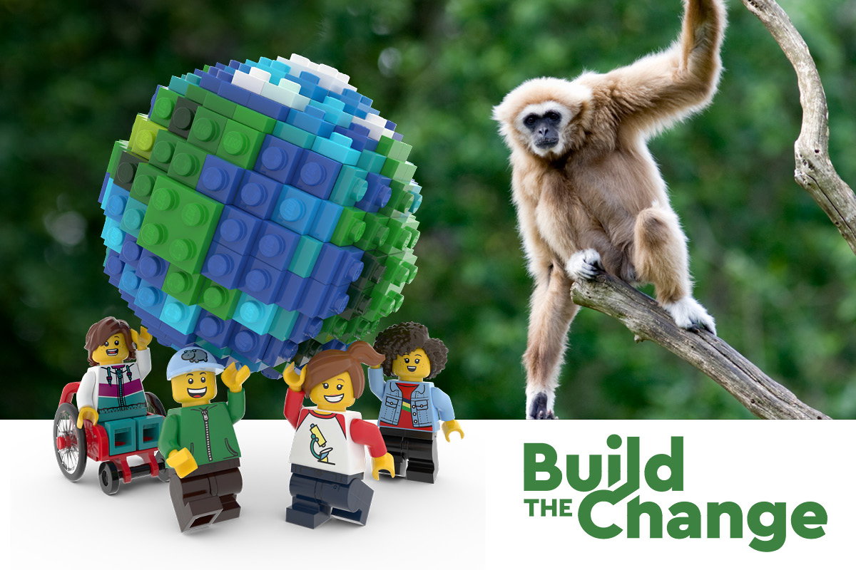 Can you help the gibbons survive in their natural habitat? Links to competition