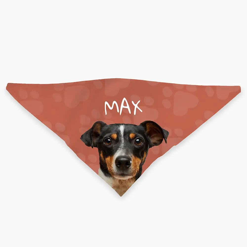 Image of Tailored Tails - Custom Pet Bandana