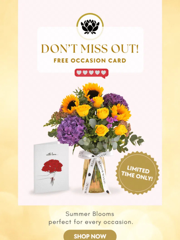 🌞 Don't Miss Out on this Summer Deal!