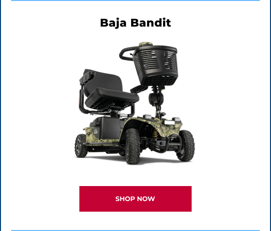 Baja Bandit - SHOP NOW