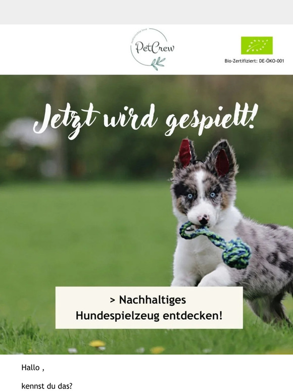 Du willst mehr Spaß mit deinem Vierbeiner?
