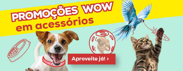 Super Ofertas em acessórios