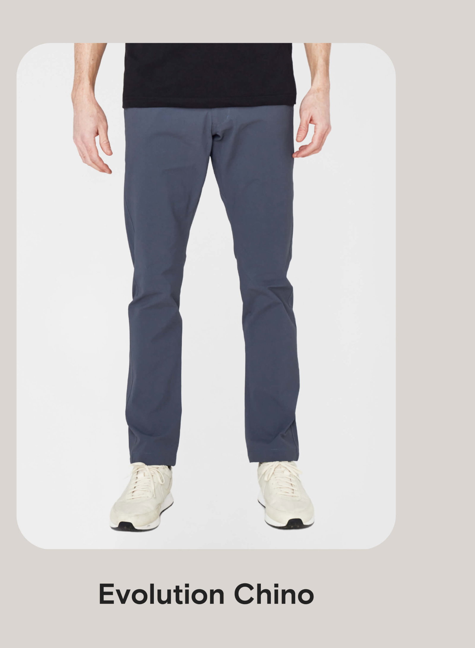 Evolution Chino