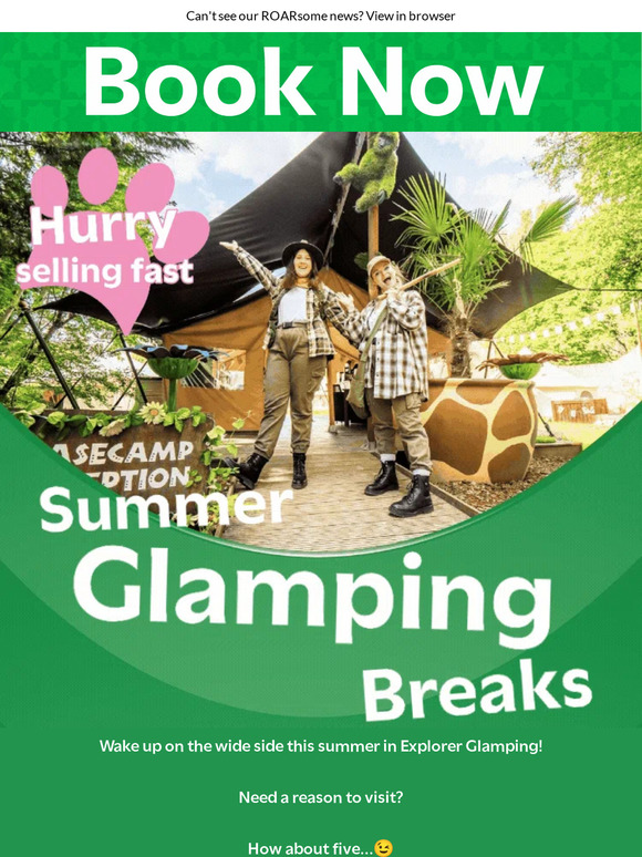 ☀Experience a short break on the WILD side this Summer☀