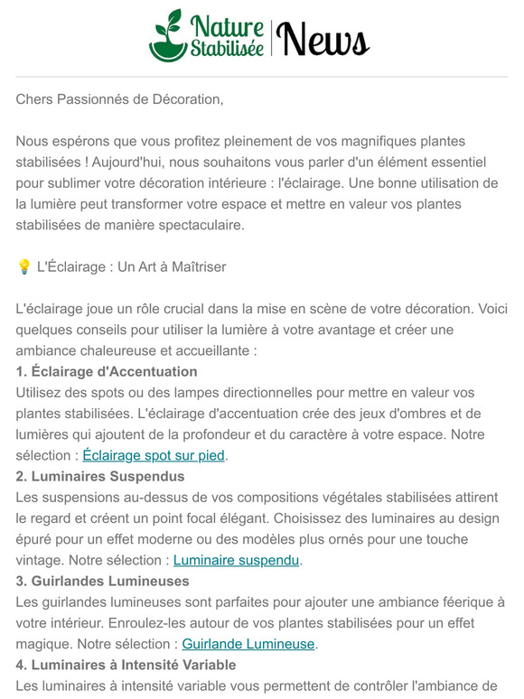 ✨ Illuminez Votre Intérieur : L'Éclairage dans la Décoration de vos Plantes Stabilisées ✨