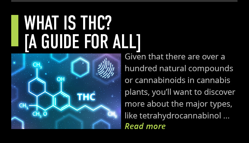 What is THC?
