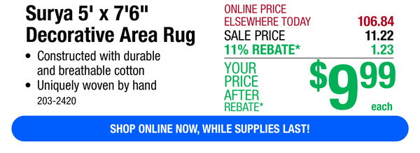 Surya 5' x 7'6" Decorative Area Rug-ONLY $9.99 After Rebate*!