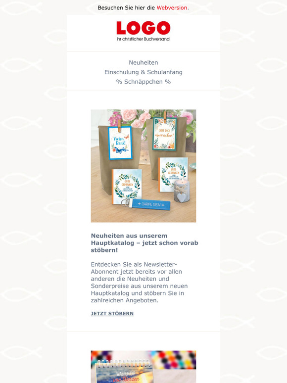 Neuheiten im Juli & alles für die Schule