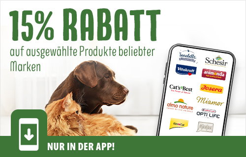 15% in der App