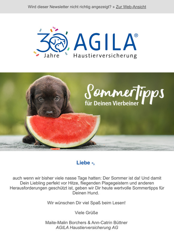 ➔ Wespenstich beim Hund? Das solltest Du wissen!