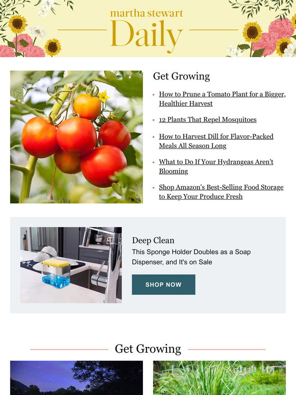 Amazing Martha Stewart Planting Tomatoes Scene Photography Amazing Martha Stewart Planting Tomatoes Scene Photography