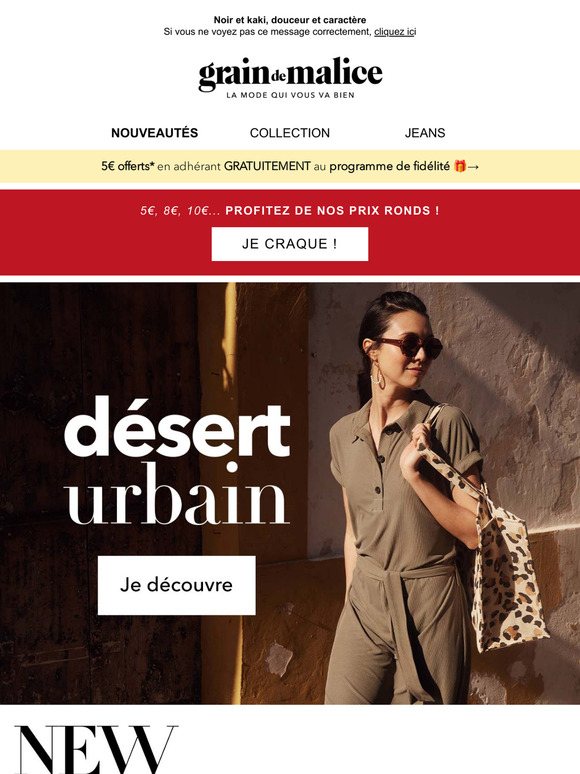 Explorez nos nouveautés 🌵