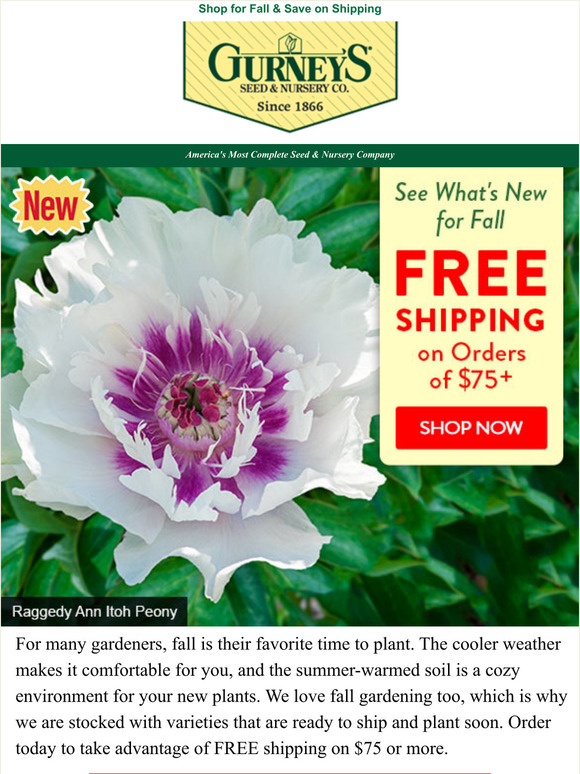 Gurney's Seed & Nursery: New for Fall...Free to Ship! | Milled