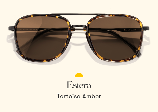 Estero Tortoise Amber