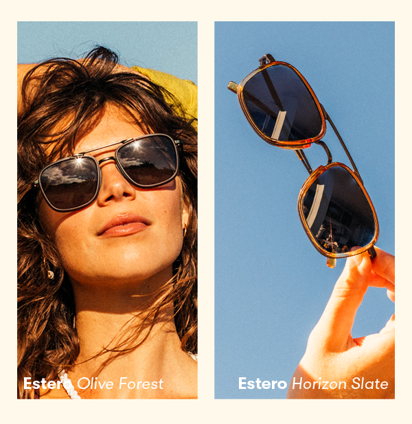 Estero Olive Forest and Horizon Slate