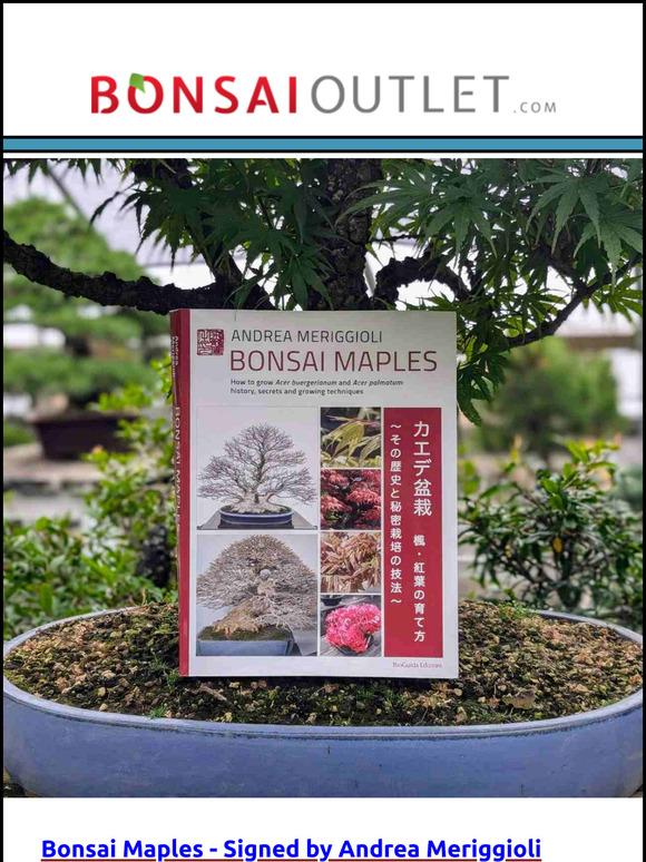 WEEKLY SPECIALS: Signed 'Bonsai Maples' Book