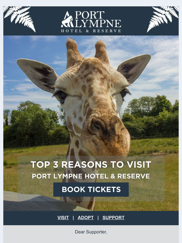 Top 3 reasons to visit this summer... 🦒🦖🦏