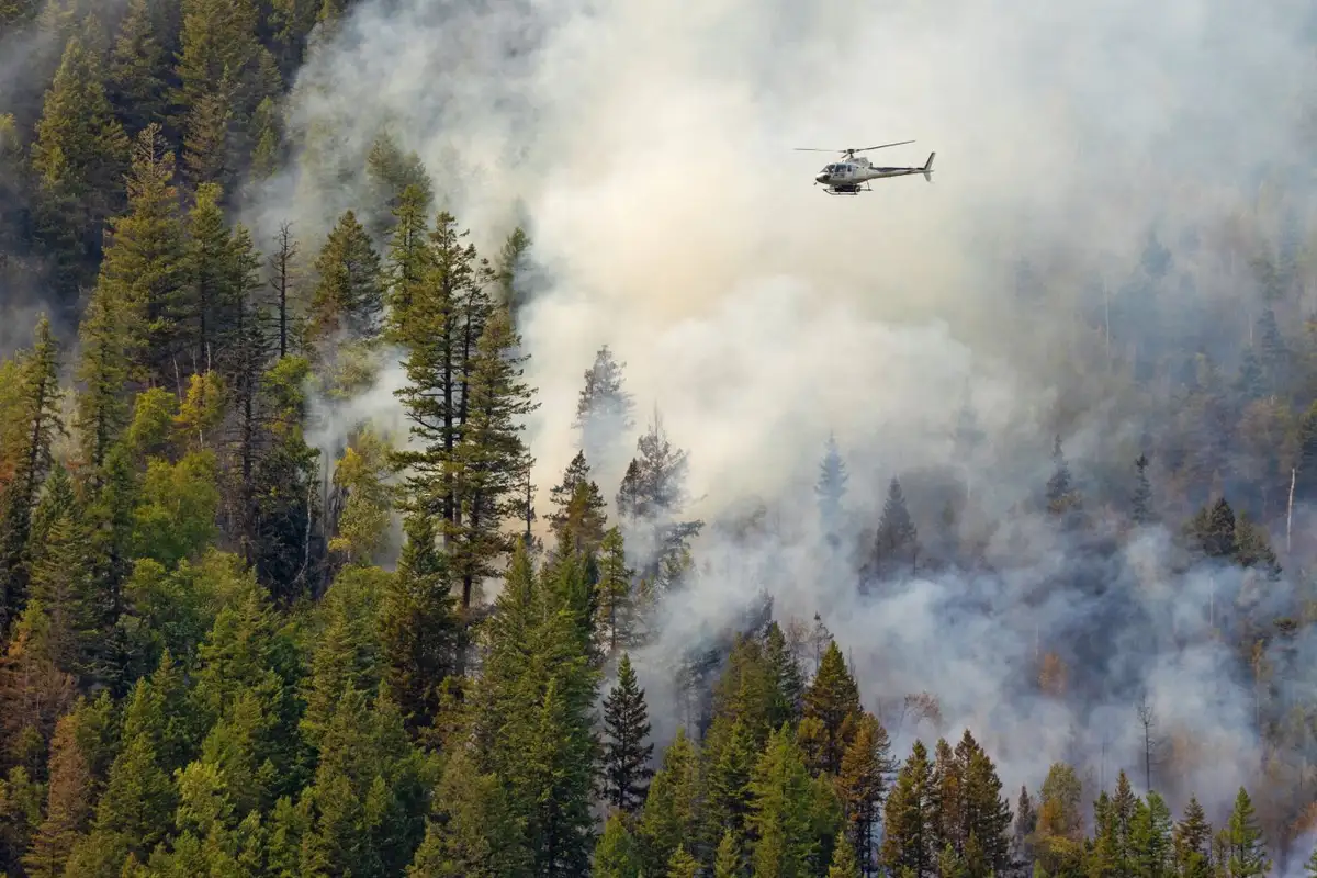 One of Earth's major carbon sinks collapsed in 2023. Image leads to article.