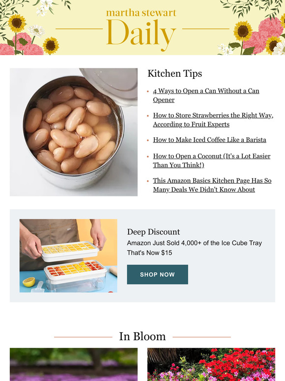 Martha stewart 4 ways to open a can without a can opener milled