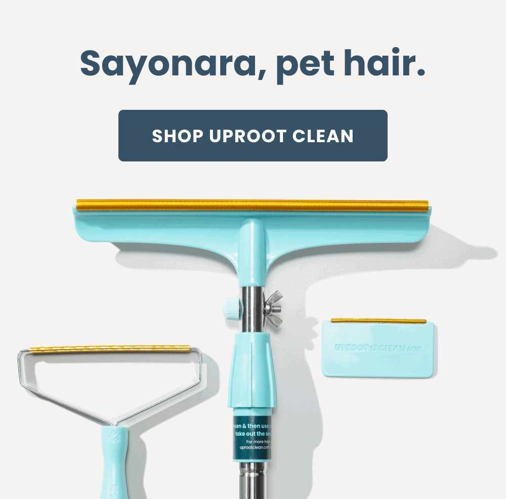Sayonara, pet hair.   [Shop Uproot Clean] 
