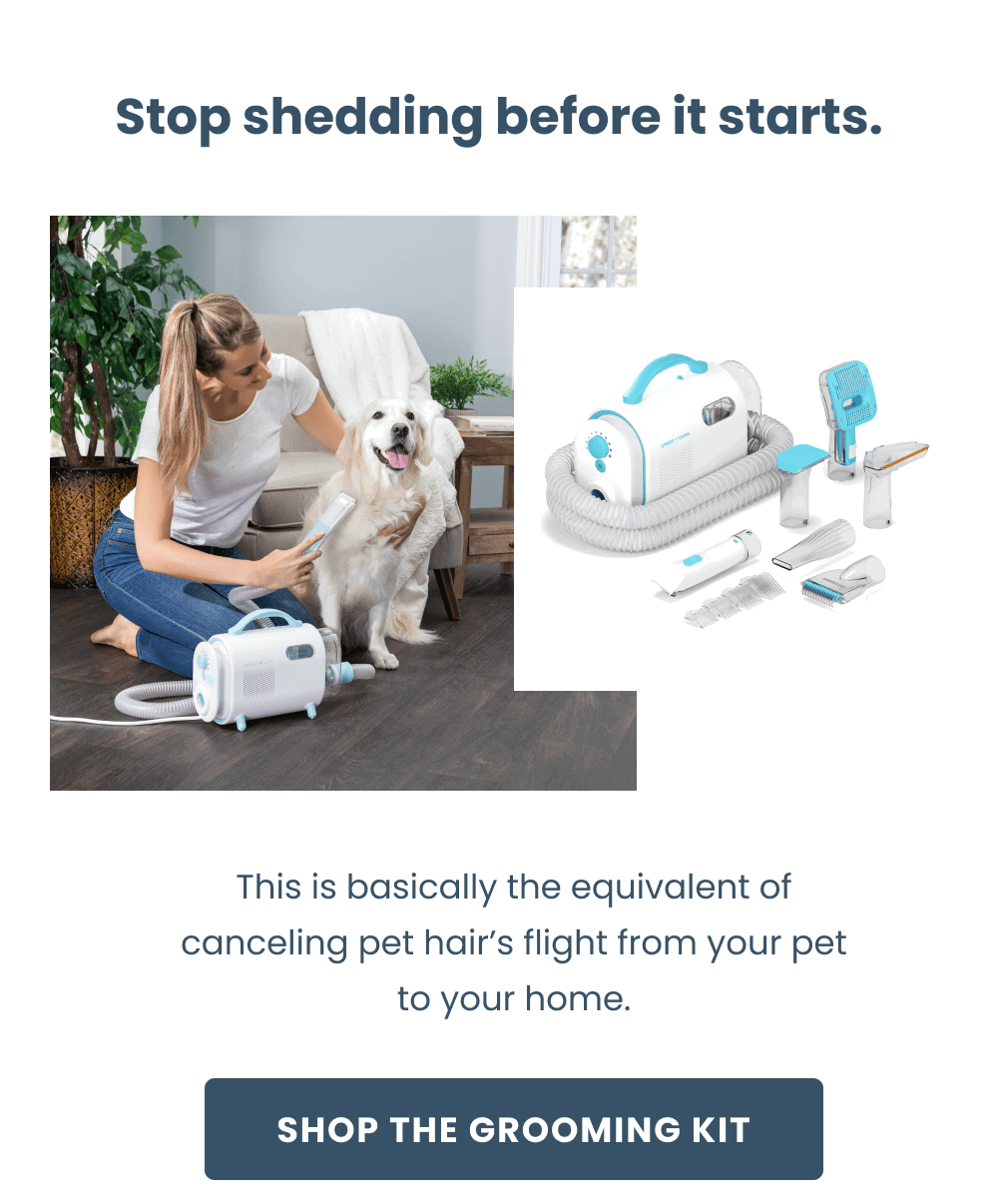 Stop shedding before it starts.  This is basically the equivalent of canceling pet hair’s flight from your pet to your home.  [Shop the Grooming Kit] 