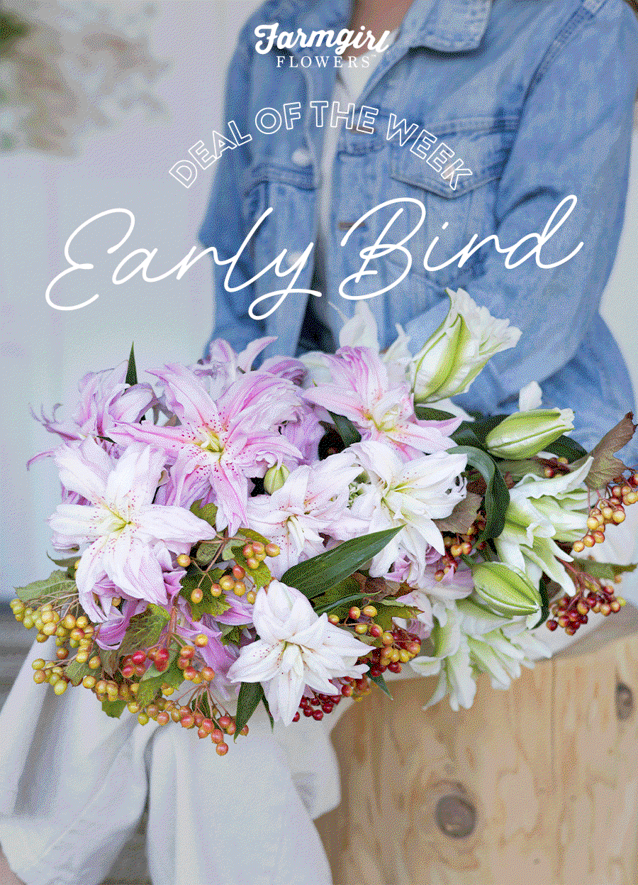 DEAL OF THE WEEK | Early Bird