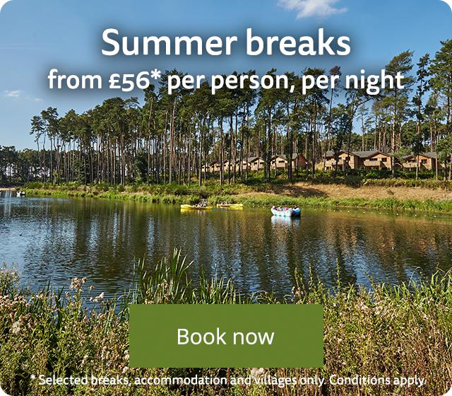 Summer breaks from £56* per person, per night