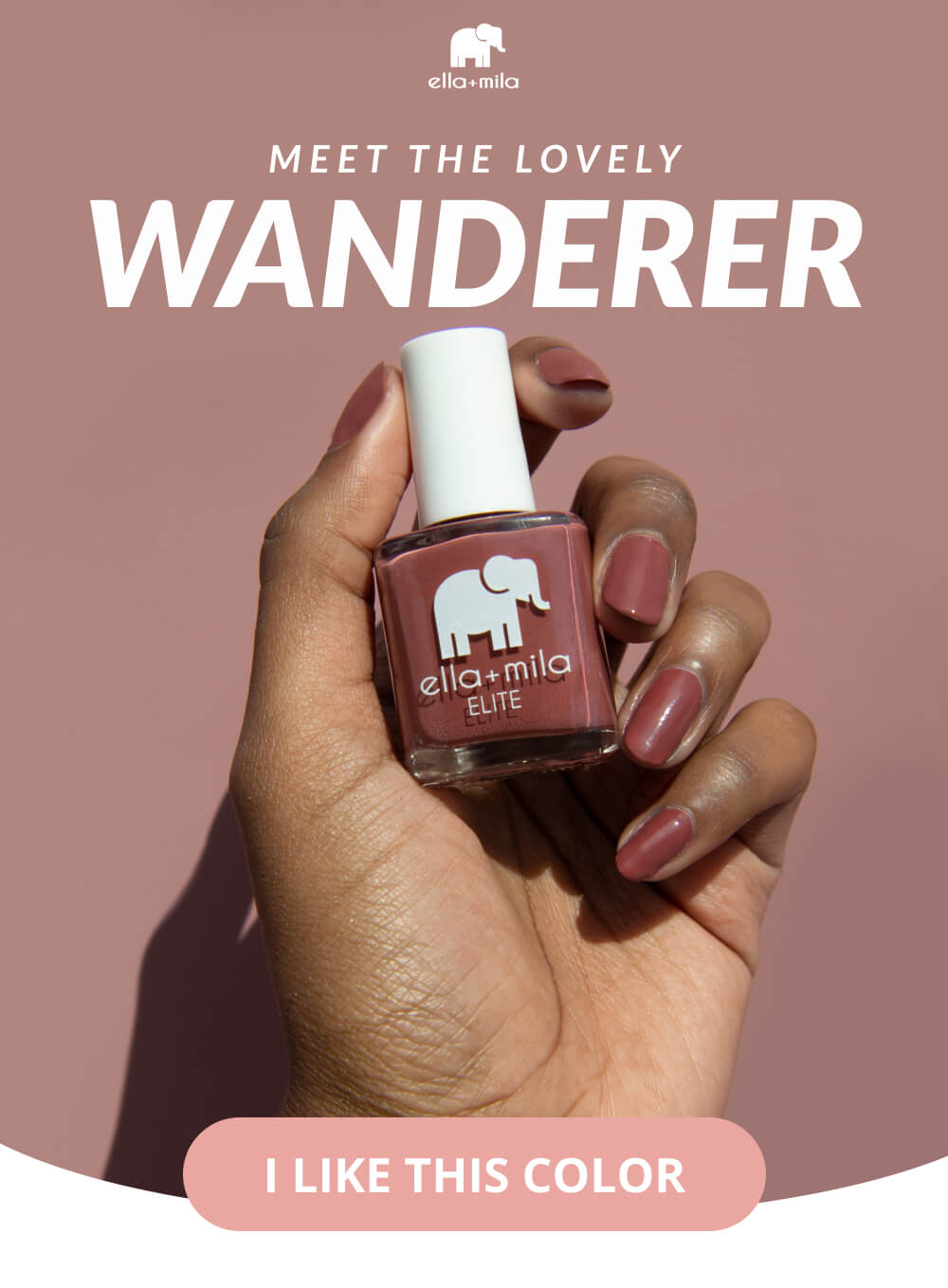 Meet the Lovely Wanderer