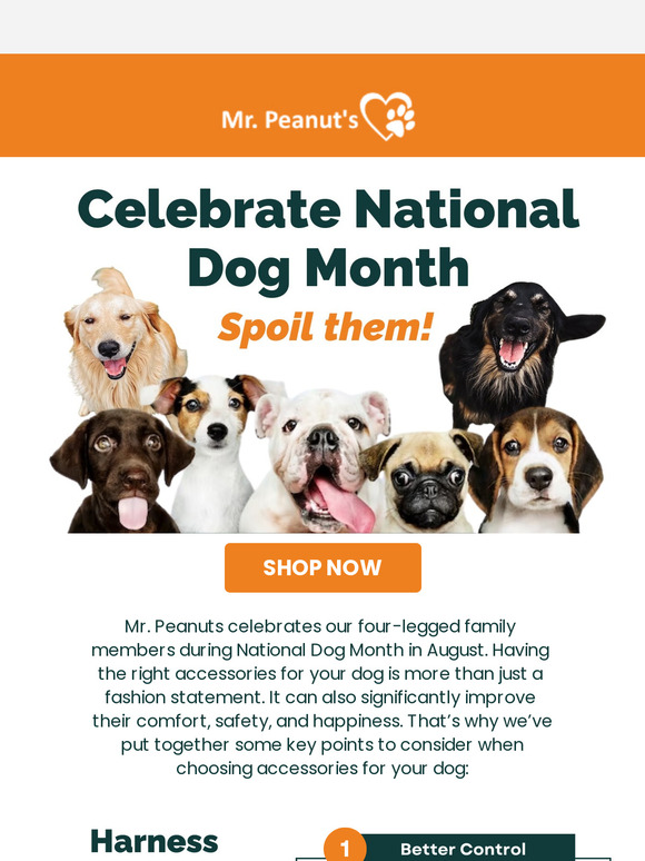 Celebrate National Dog Month with Mr. Peanuts