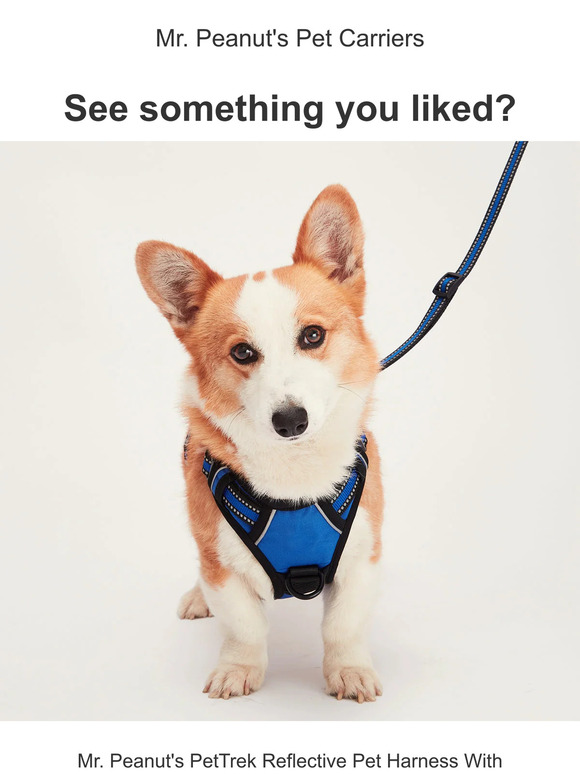 Did something catch your eye?