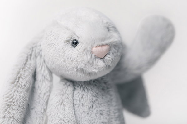 Bashful Bunny Silver
