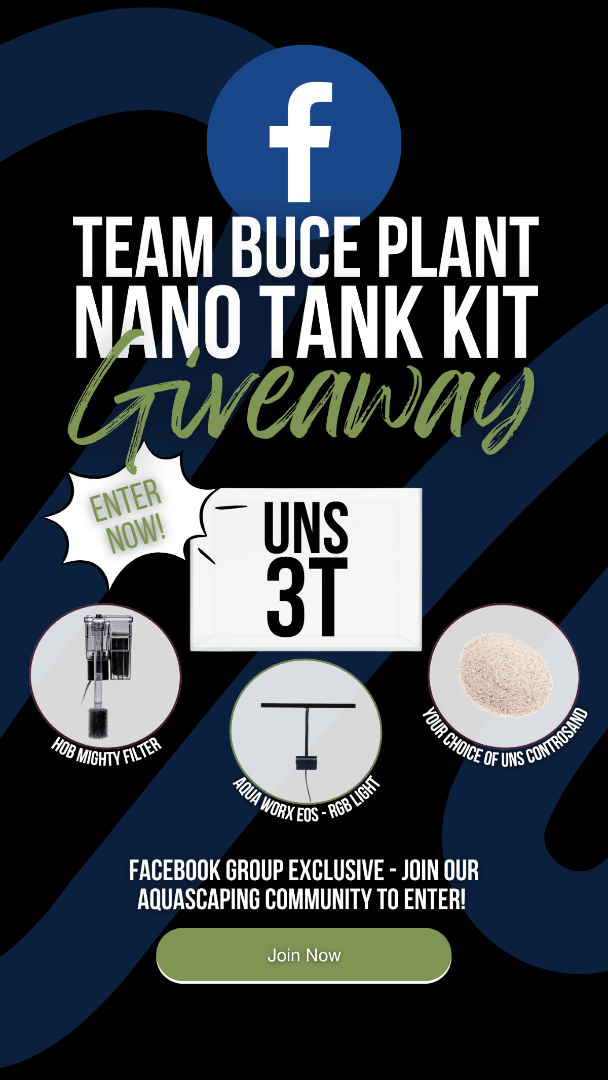 Team Buce Plant