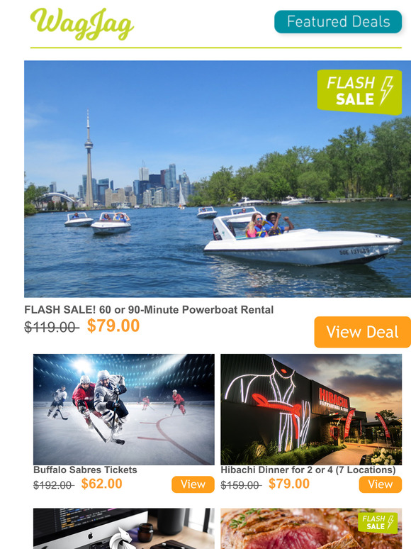 FLASH SALE! $79 for a Powerboat Rental