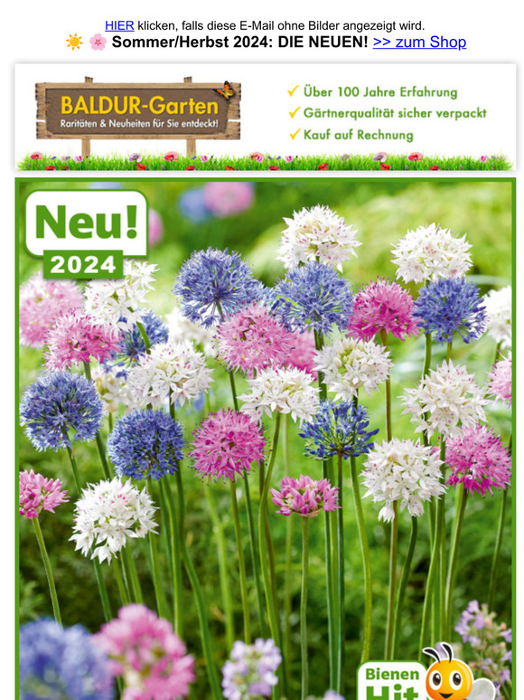 BALDURGarten KOO ☀️ 🌸 Sommer/Herbst 2024 DIE NEUEN, Herr —! Milled
