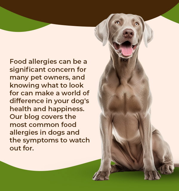 Photo inspiration: Visual Reference: Chefpaw Us Understanding Common Food Allergies In Dogs Symptoms And
