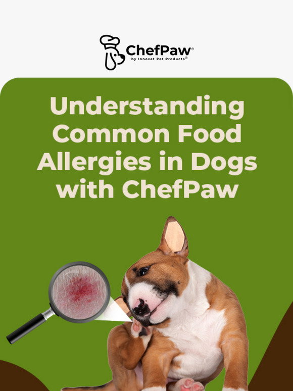 View of ChefPaw: Understanding Common Food Allergies in Dogs: Symptoms and ...